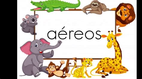 Animales aéreos, terrestres y acuáticos - YouTube