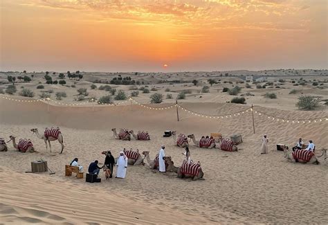 Desert Safari Tours in Dubai | Book Dubai Desert safari Now