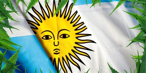 Argentina: El INAES Creó una Mesa de Trabajo de Cannabis para Incorporar a las Cooperativas a la ...