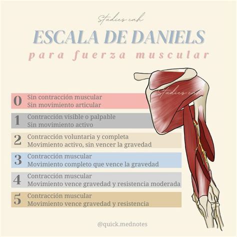 Escala de Daniels | Studiescah | uDocz