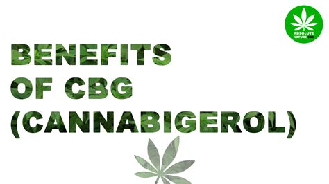 CBG Benefits & Uses - CBG for Health & Wellness - (Cannabigerol)