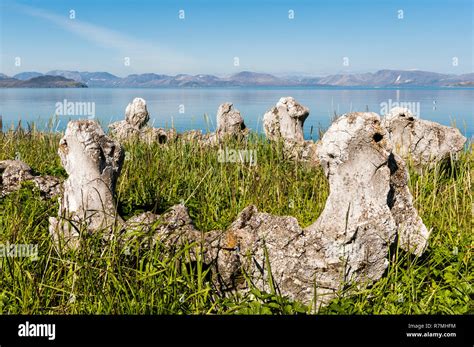 Whale Bone Alley, Yttygran Island, Chukotka, Russia Stock Photo - Alamy