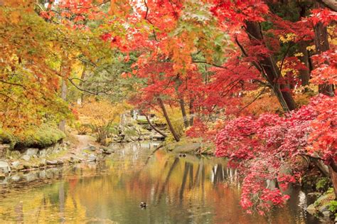 Morioka Castle Ruins Park (Iwate Park)｜Search Destinations in Tohoku ...