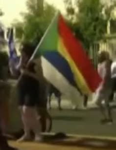 Help to identify this flag seen at a protest in Israel : r/vexillology