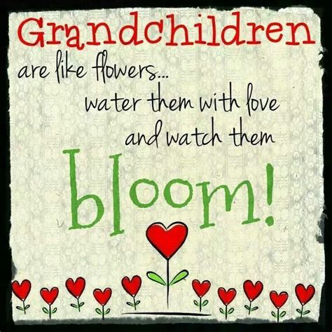 Grandchildren | Quotes about grandchildren, Grandkids quotes, Grandparents quotes