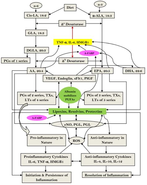 IJMS | Free Full-Text | Hypoalbuminemia as Surrogate and Culprit of Infections