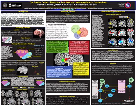 (PDF) The Insular Cortex: Structure, Function, and Neuropsychiatric ...