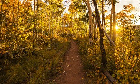 3 Hikes: Snowmass By Foot - The Scoop | Go Snowmass