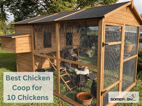 3x4 Quaker Tractor Coop Chicken Coop For 6-8 Chickens, 59% OFF