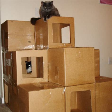 DIY Indoor Hunting Playground | Cat house diy, Homemade cat toys, Cardboard cat house