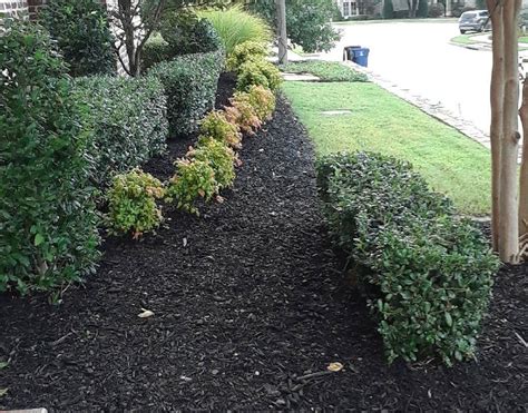 General Landscape Cleanup Examples - Lawn & Landcare