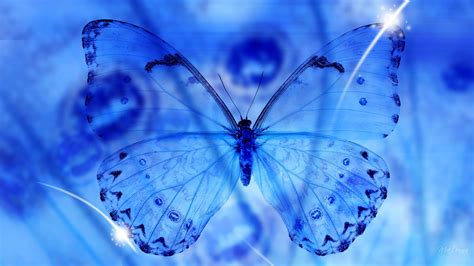 Blue Butterfly Wallpaper HD | PixelsTalk.Net