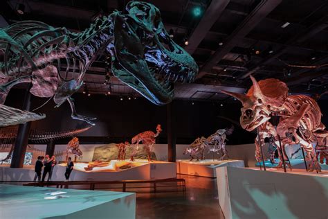 Expert’s Guide: Houston Museum of Natural Science | Houstonia Magazine