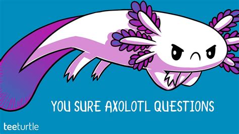 Obrázky a tapety na plochu Axolotl – YL Computing