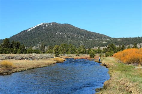 West Fork Carson River in Hope Valley Near Pickett`s Junction and Luther Pass, California, USA ...