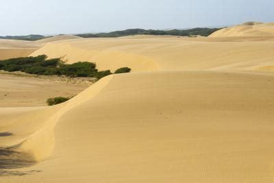 'Sand Dunes, Medanos de Coro NP, Near Coro, Falcon State, Venezuela ...