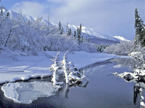 Alaska | Alaska photography, Eagle river alaska, Winter scenes