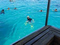 Tripadvisor | Fiji: Day Trip to Cloud 9 Floating Platform Including ...