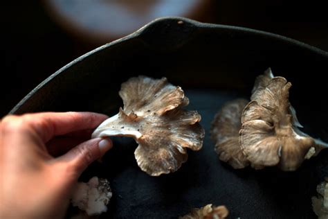 50+ Maitake Mushroom Recipes (Hen of the Woods) - Adamant Kitchen