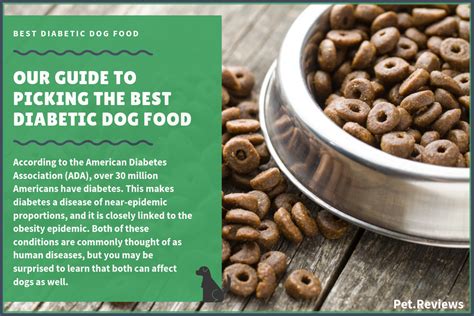 10 Best Diabetic Dog Food Brands (Non-Prescription) in 2020