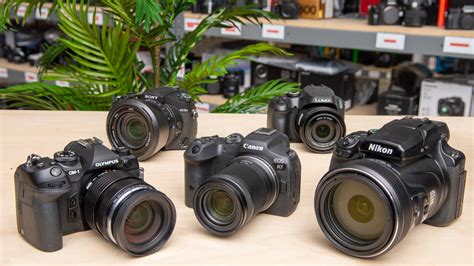 The 6 Best Cameras For Wildlife Photography - Fall 2024 - RTINGS.com