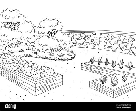 Aggregate more than 68 landscape garden sketch latest - seven.edu.vn