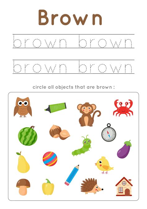 Premium Vector | Brown color worksheet. Learning basic colors for ...