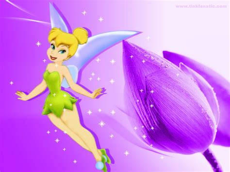 🔥 [50+] Disney Tinkerbell Wallpapers | WallpaperSafari