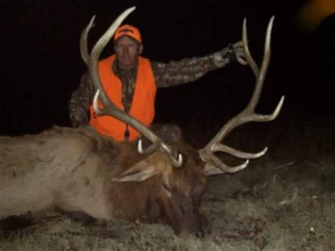 Colorado Bull Elk Hunt | remodel