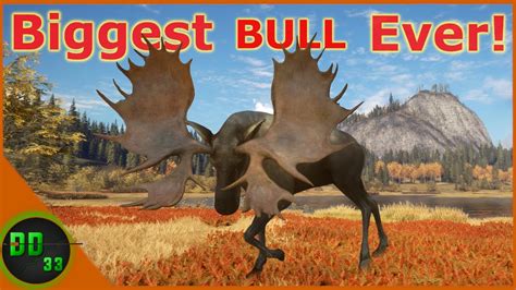 The Biggest Diamond Moose I've Ever Seen! Call Of The Wild - YouTube