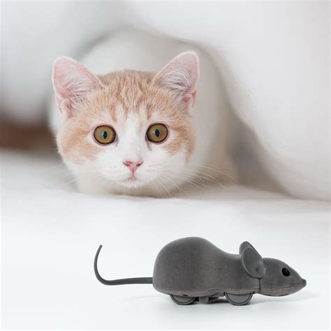 Electronic Remote Control Gray Mouse Cat Toy with App and Realistic Appearance - PawsMark