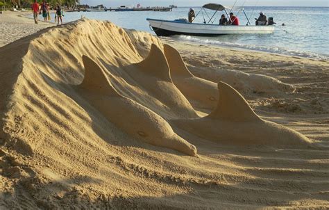 Resultado de imagen de dolphin sand sculpture Beach Sand Castles, Beach Sand Art, Beach Fun ...