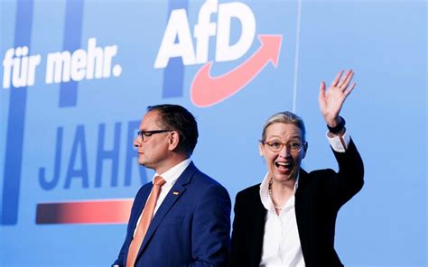 Banning Germany’s AfD party would be ‘wrong’, says former president of ...