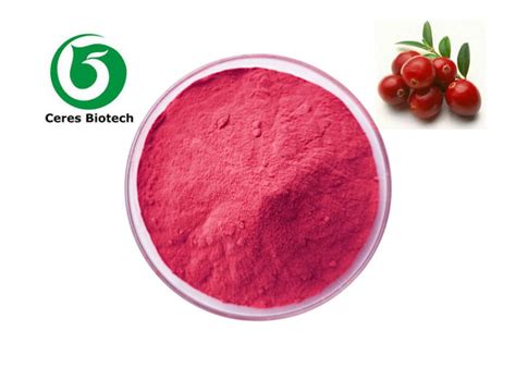 99% Freeze Dried Organic Cranberry Juice Powder Bulk Beverages Use