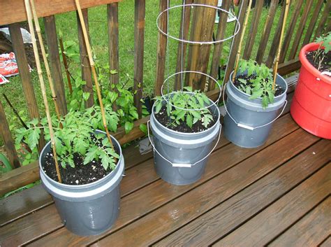 The Rusted Vegetable Garden