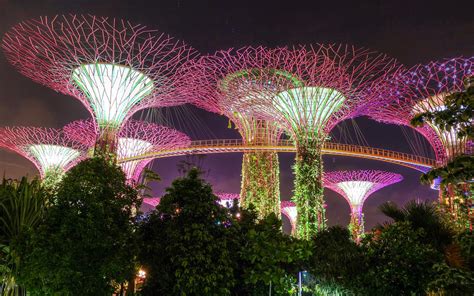 Gardens by the bay at night | Sam's Alfresco Coffee