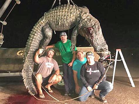 Alabama Hunters Take 144 Alligators | Outdoor Alabama