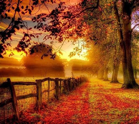 Melinda Matthews on Twitter | Autumn scenery, Autumn landscape, Fall ...