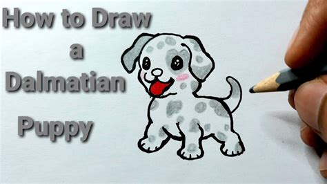 How to Draw a Dalmatian Puppy || Cute and easy - YouTube