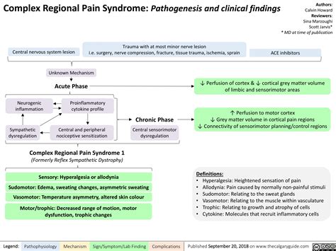 Complex Regional Pain Syndrome: Pathogenesis and Clinical Findings ...