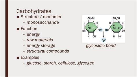 Macromolecule Review. - ppt download