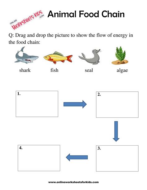 Animal Food Chain Worksheet For Grade 1-2