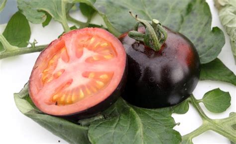 First Black Tomatoes helps in Fight Cancer - Charismatic Planet