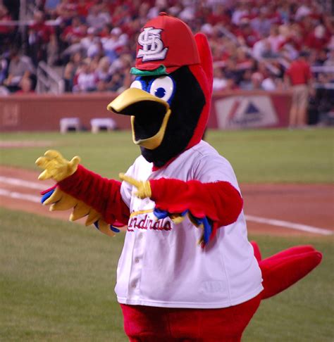 Fredbird - St Louis Cardinals - SportMascots.com