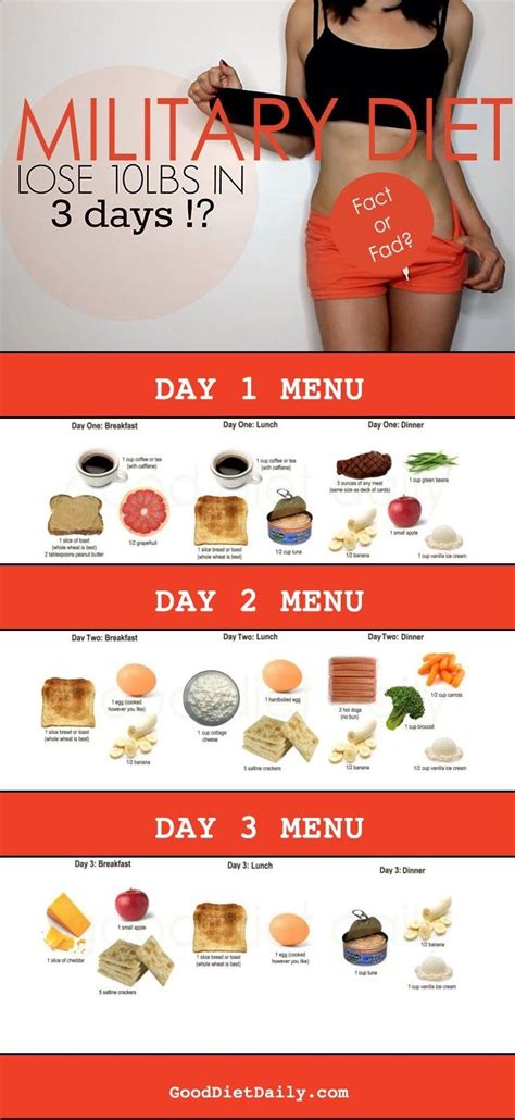 7 Day Military Diet Printable