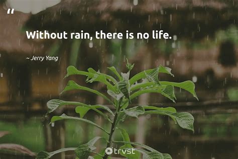 108 Inspiring Rain Quotes To Uplift You On Gloomy Days (2024)