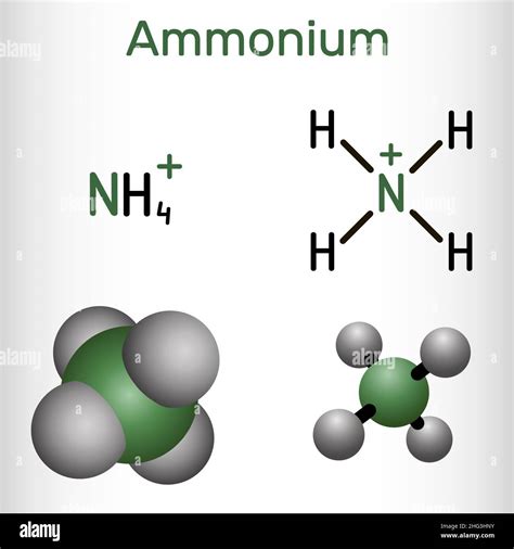 Ammonium cation, azanium molecule. It is positively charged polyatomic ...