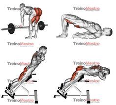 Las mejores 8 ideas de biceps femoral | ejercicios para piernas, rutinas de ejercicio ...