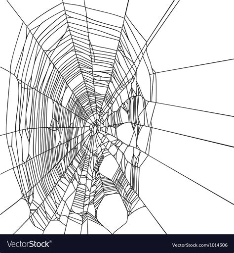 Cobweb Royalty Free Vector Image - VectorStock