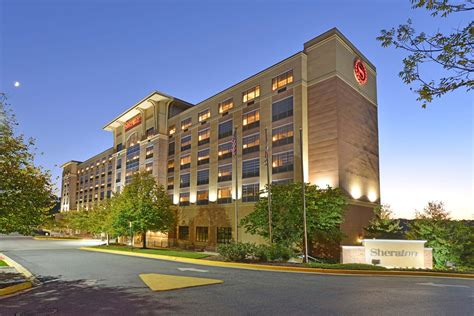 Pet-Friendly Hotel near BWI | Sheraton Baltimore Washington Airport ...